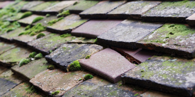 Bladon roof repair costs